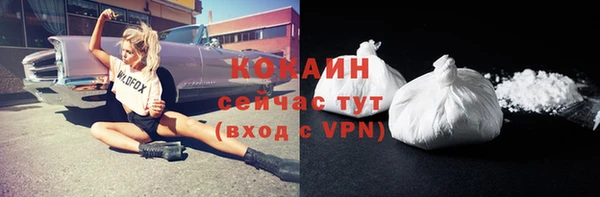 спиды Пестово