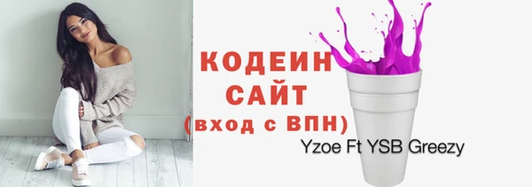 спиды Пестово