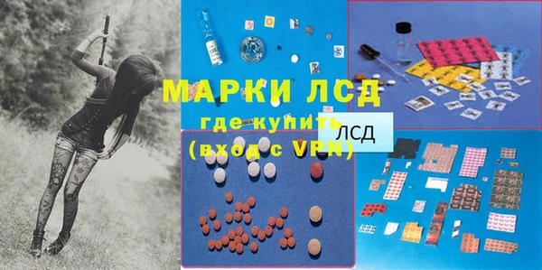 спиды Пестово