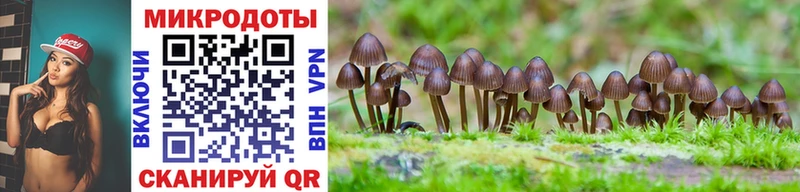 мориарти как зайти  Сольцы  Псилоцибиновые грибы GOLDEN TEACHER 
